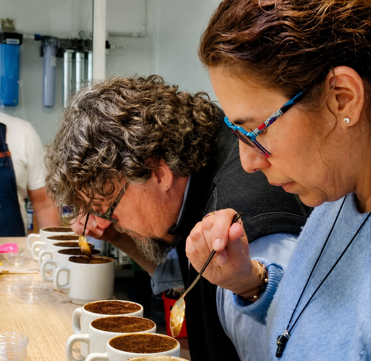 Cupping & Quality Control